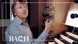 Zerer on Bach Sonata no. 1 in E-flat major BWV 525 | Netherlands Bach Society