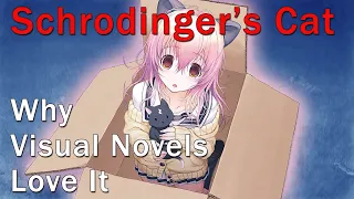 Visual Novels and Schrodinger's Cat | TOP uses of Schrodinger's Cat in VNs