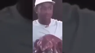 Tyler the creator kisses a lizard and says yay