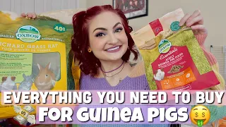 GUINEA PIG BUYING GUIDE💸