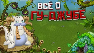 всё о гу-джубе