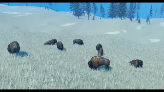 Yellowstone Unleashed Roblox Bison Herd