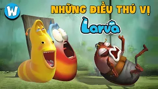 Bạn Còn Nhớ Gì Về Larva | Ấu Trùng Tinh Nghịch