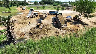 Bulldozer KOMATSU Pushing Clearing Stone In Stock Forest Land 10 Wheel Dump Truck Unloading Stone