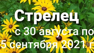 Стрелец Таро - гороскоп с  30 августа по 5 сентября  2021 г.