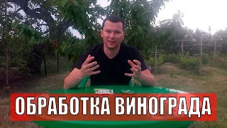 Обработка винограда от болезней