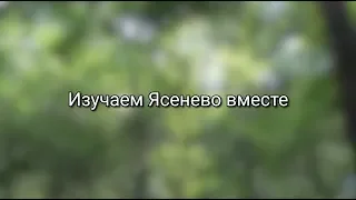 Изучаем Ясенево вместе. Лес.