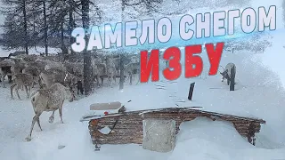 ИЗБУ ЗАМЕЛО СНЕГОМ.