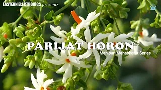 Parijat Horon | Manipuri Mahabharat Series | Eastern Electronics | Official Audio Drama