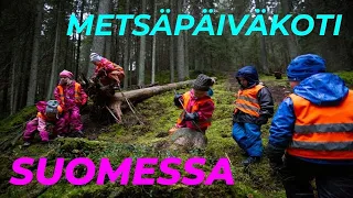 METSÄPÄIVÄKOTI. ЛЕСНОЙ ДЕТСКИЙ САД. ЧИТАЕМ ПРОСТОЙ ТЕКСТ И ПЕРЕВОДИМ.