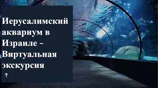 Иерусалимский аквариум в Израиле - Виртуальная экскурсия