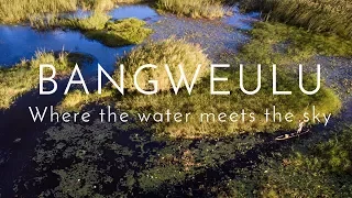 "Where the water meets the sky" | Bangweulu Wetlands (African Parks)