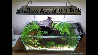 New Shallow Tank Aquarium setup-70x30x30 cm: Easy Scaping tips