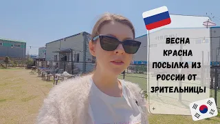 Наши дни. Посылка от зрительницы из России. Катя и Кюдэ/Южная Корея