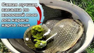 ЛОВИ ПО ХОЛОДНОЙ ВОДЕ  НАСАДКА ДЛЯ КРУПНОГО КАРАСЯ и Леща  Супер рыболовная наса карася карпа