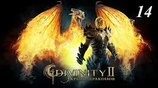 Divinity 2: Кровь драконов прохождение 🔥🔥🔥🔥 14 серия