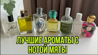 ТОП-7 ЛУЧШИЕ АРОМАТЫ С НОТОЙ МЯТЫ/САМОЕ ЛЮБИМОЕ #парфюмерия #рекомендации #perfume #духи