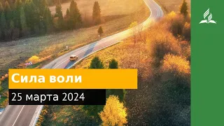 25 марта 2024. Сила воли. Возвращение домой | Адвентисты