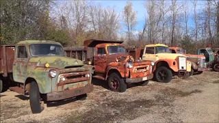 Rusting Classics - Old International Truck Boneyard