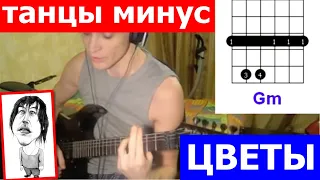 Танцы Минус Цветы аккорды 🎸 кавер табы как играть на гитаре | pro-gitaru.ru