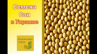 Семена Сои 🌿 купить в Украине 🌿 от Агроэксперт Трейд