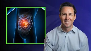 How Healthy is Your Gut? (& Why it Matters) | Dr Will Bulsiewicz