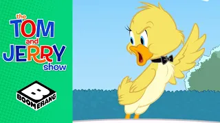 The Talent Show Contest | Tom & Jerry | Boomerang UK