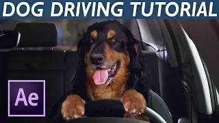 How to Make DOG DRIVE A CAR! - After Effects VFX Tutorial