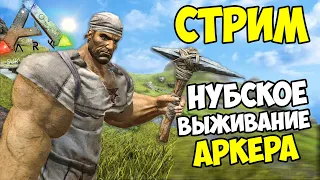 ARK ➤ Приручаем ИМБУ на СТРИМЕ! Выживание АРКЕРА ПРОФЕССИОНАЛЬНОГО! Стрим 22:22, 22.02.2022