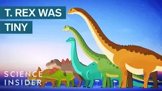 The Biggest Dinosaurs Of All Time