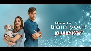 How To Train Your husband