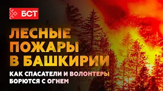 Лесные пожары в Башкирии: как спасатели и волонтеры борются с огнем