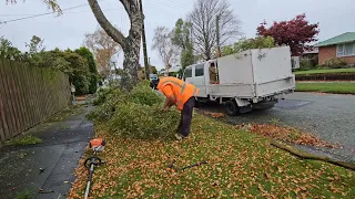 CITY council, WARN the owner to cut their trees due to powerlines 🔌￼ between the trees 🌲 ￼