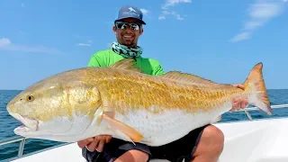 Found Over 10,000 MASSIVE Redfish!!