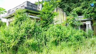 We cleaned an abandoned house for 10 years with overgrown trees / BEAUTIFUL TRANSFORMATION