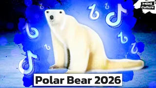 Polar Bear 2026. Creepy Bear meme