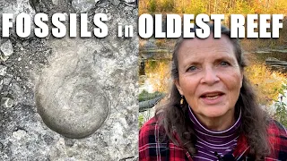 Fantastic Fossils at the Oldest Reef on Earth | Isle la Motte, Vermont | Fisk Quarry Preserve