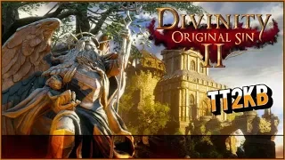 Divinity Original Sin 2 Tactician Mode Act 2