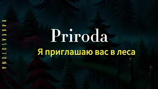 Priroda - Я приглашаю вас в леса (unofficial music video)