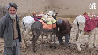 Afghanistan Village Life | Andkhoy city | زندگی روزمره روستایی در افغانستان