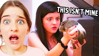 SHE LOST THE GUINEA PIG and SWITCHED IT FOR ANOTHER ONE (Naz Reacts) w/The Norris Nuts