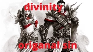 Divinity Original sin: enhanced edition gameplay (split-screen)