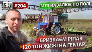 МТЗ навалює по полі.🚜Обприскування ріпаку фунгіцидом. Внесення гноївки 💩