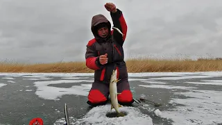 Первая зимняя рыбалка на жерлицы 2022