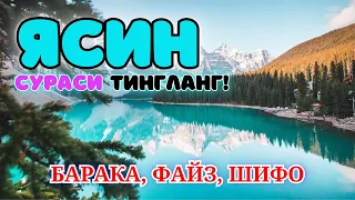 Йаасийн Ёсин ЯСИН сураси Yaasiyn Yosin surasi go'zal qiroat Surah | БУ СУРАНИ УҚИНГ