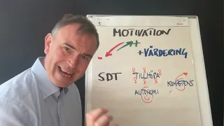 3 teorier om motivation