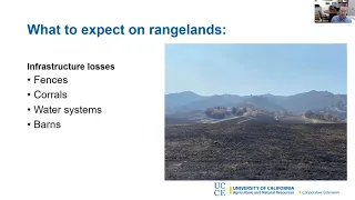 Impact of Fire on Rangelands, What to Expect and What to Do