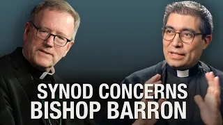 REACTION | Bishop Barron Concerns With Synod On Synodality