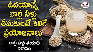 Health Benefits of Barley Water in Telugu I బార్లీ వాటర్ I Barley Water Weight Lose