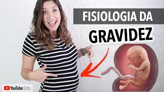 Fisiologia da Gravidez: Sistema Cardiovascular e Respiratório | Anatomia etc